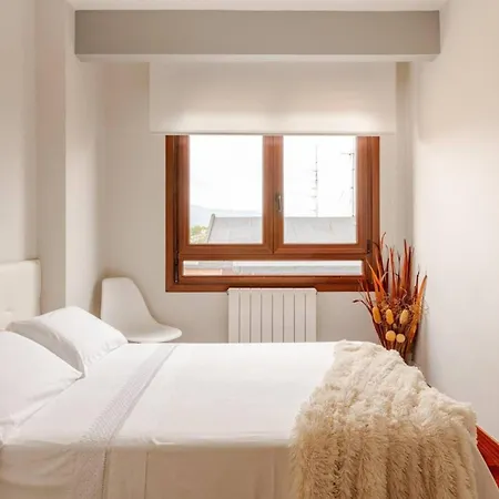 Ssilssao Costa Vasca Apartment Leioa
